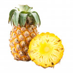 https://demomarketplace.revoapps.id/wp-content/uploads/2021/08/Groceries-02-v02-small.jpg